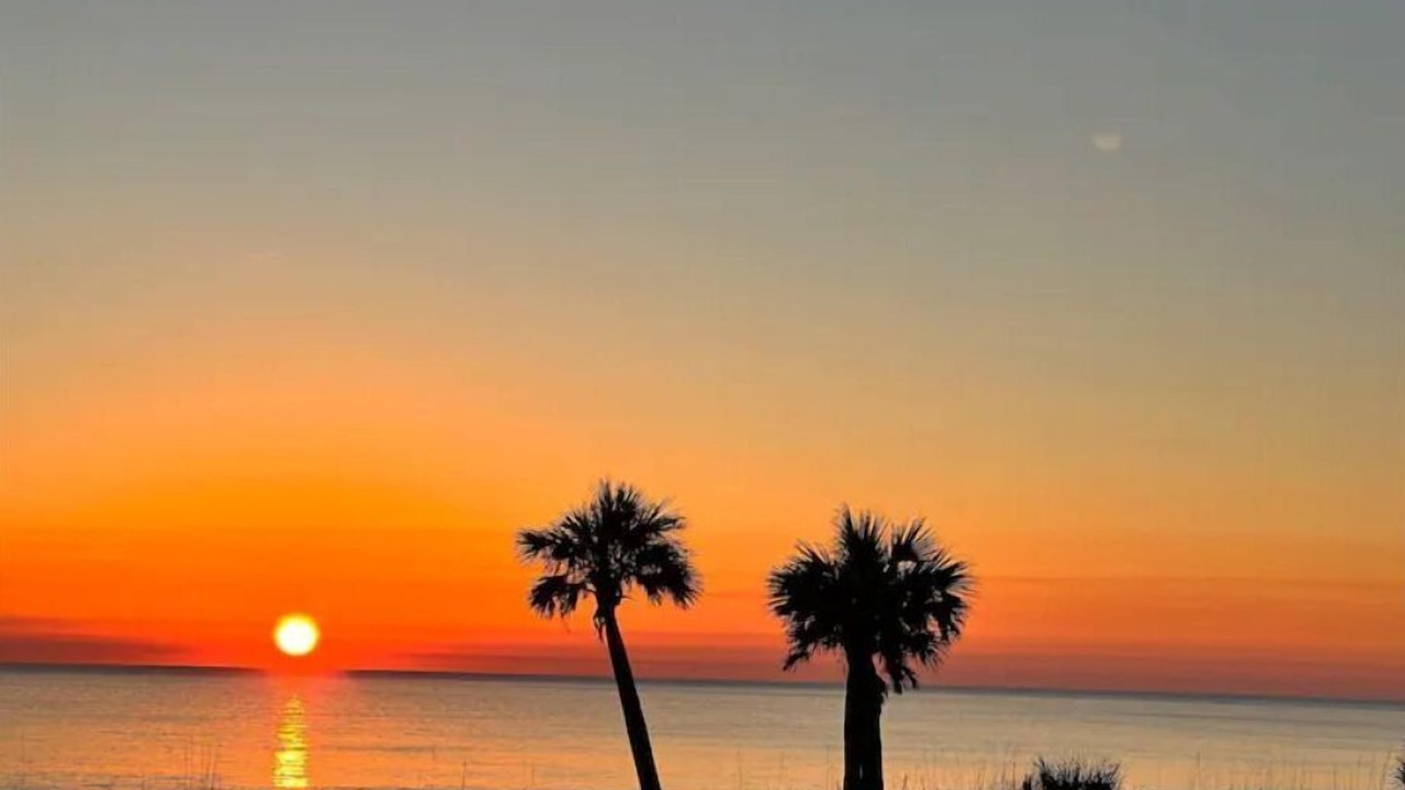 Photo of Others in Jekyll Island