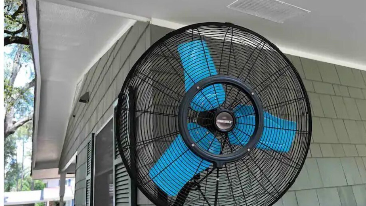 Photo of Outdoor in Jekyll Island