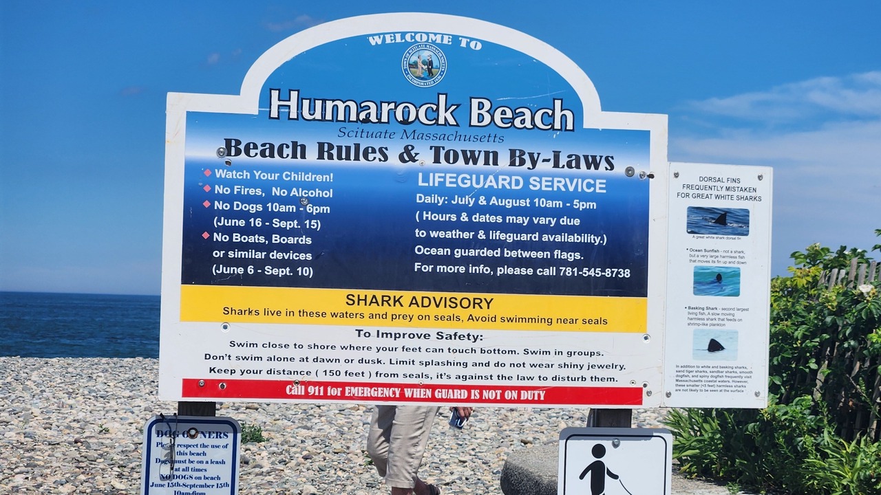 Photo of Others in Humarock