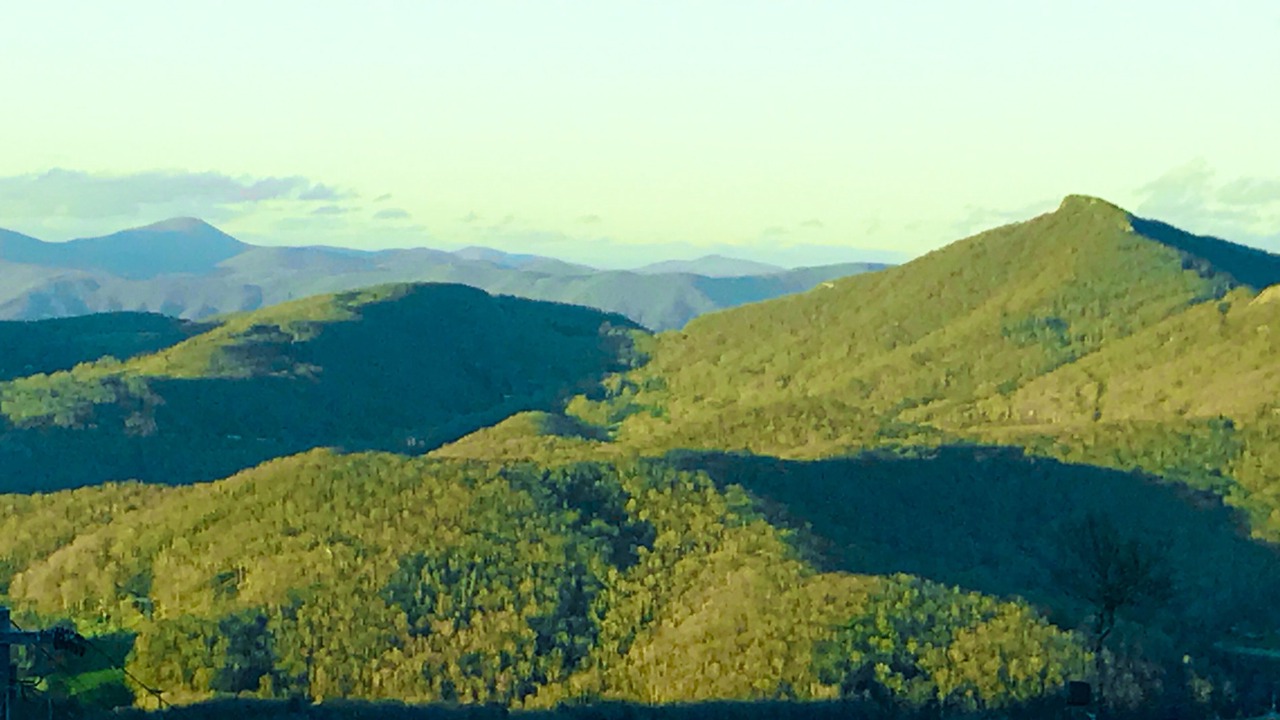 Photo of Others in Sugar Mountain