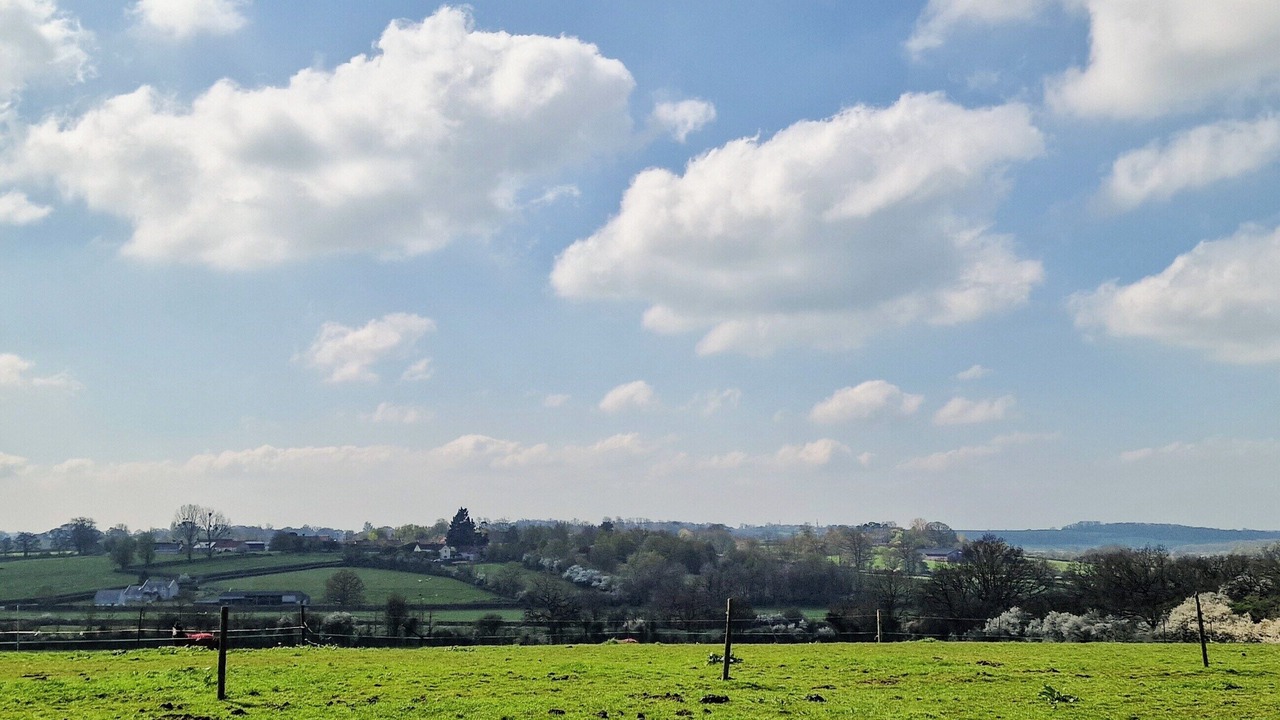 Photo of Others in Blackford