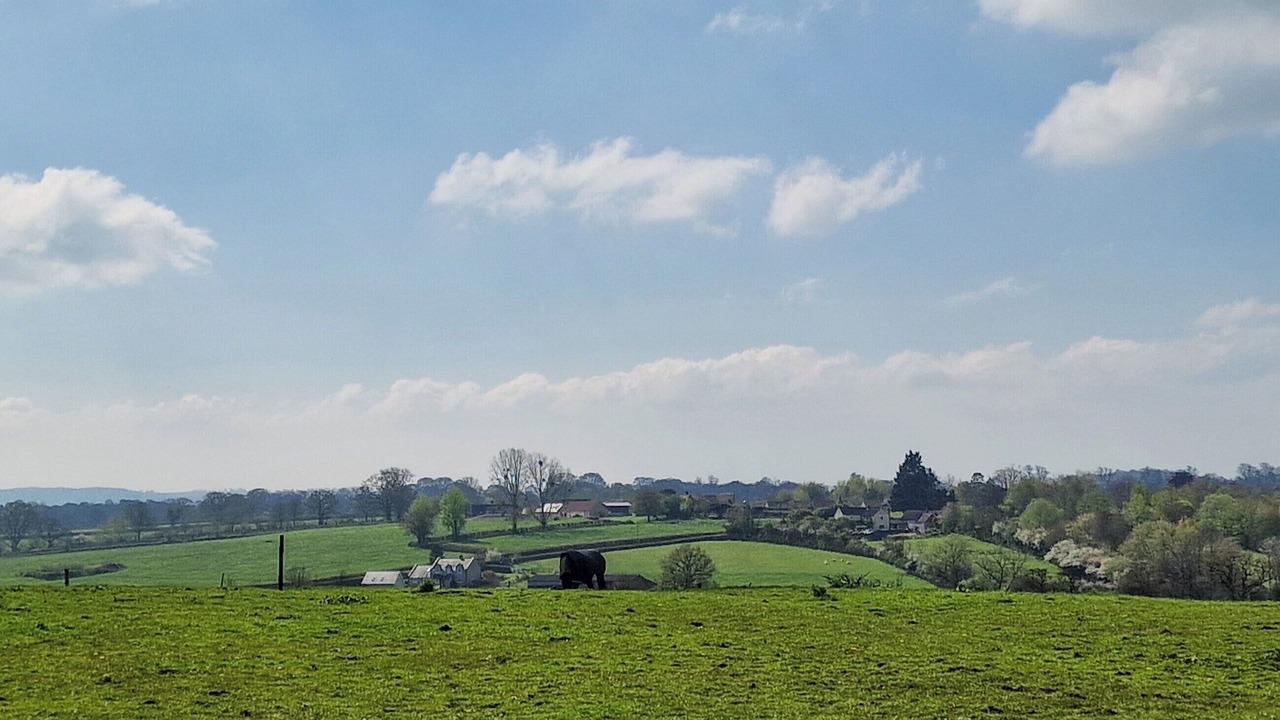 Photo of Others in Blackford