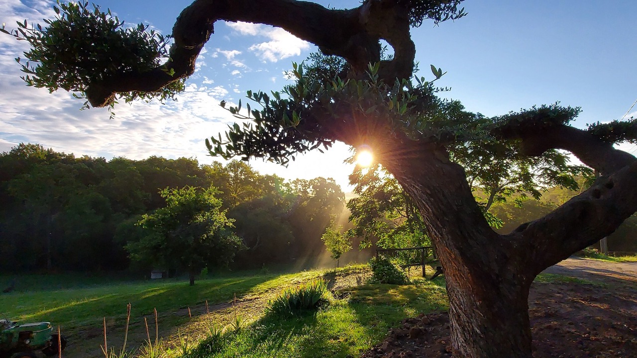 Photo of Outdoor in Muzillac