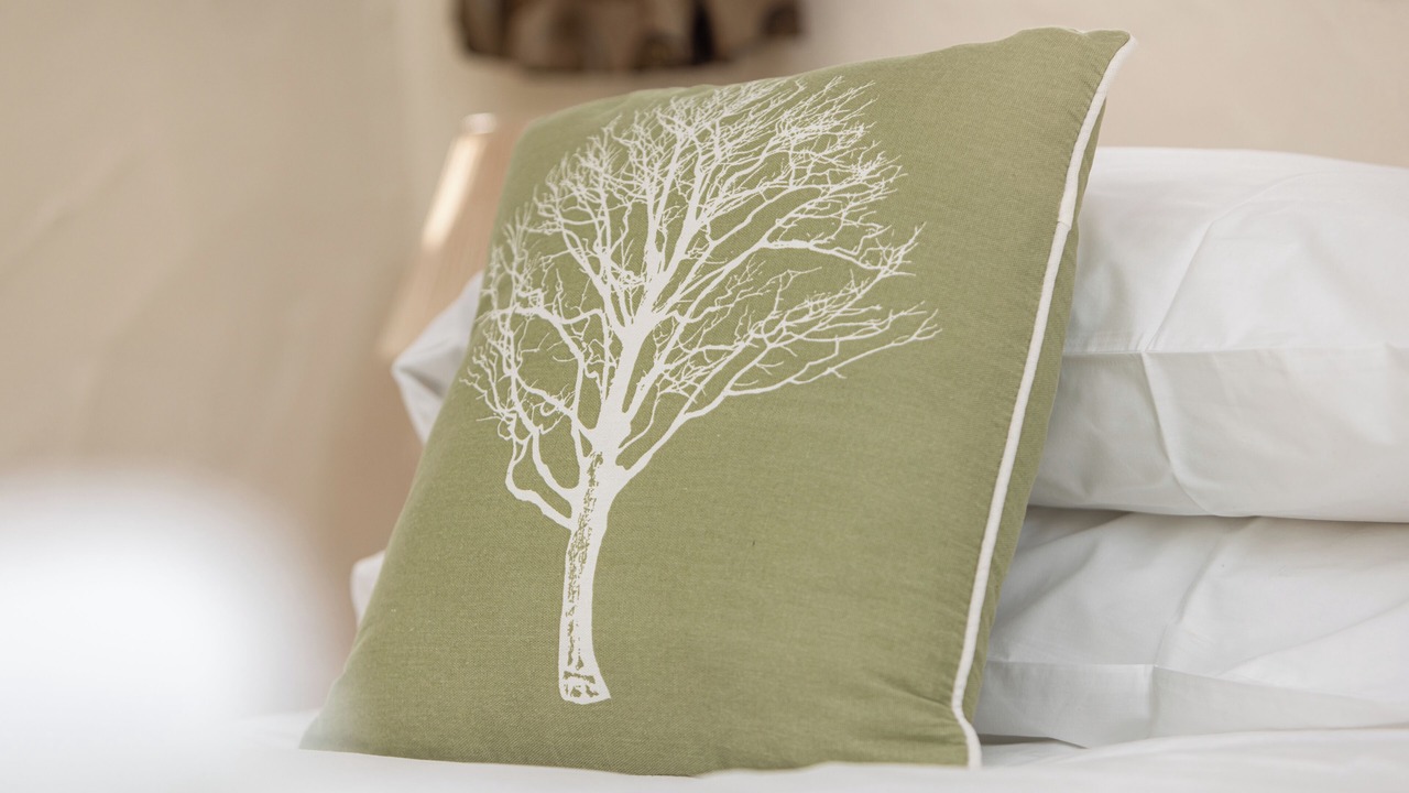 Photo of Others in Mount