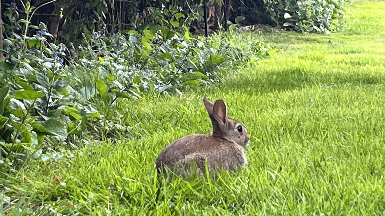 Photo of Outdoor in Godstone