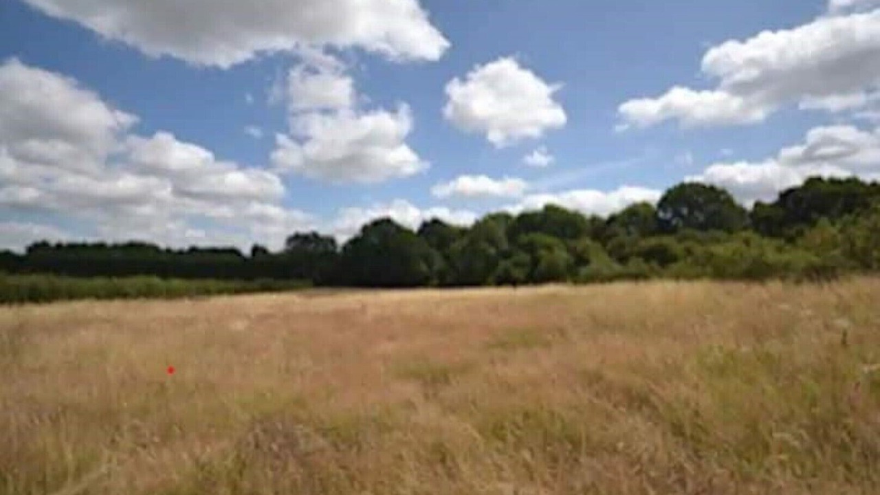 Photo of Others in Godstone