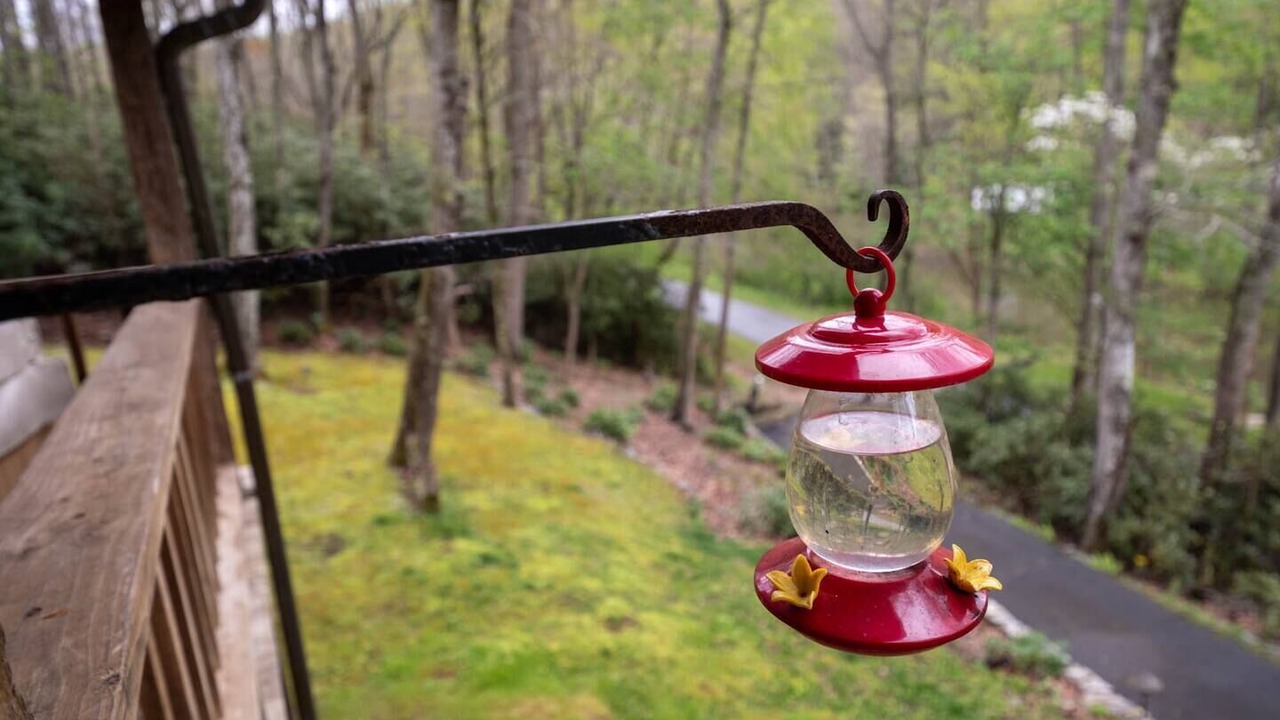 Photo of Outdoor in Todd