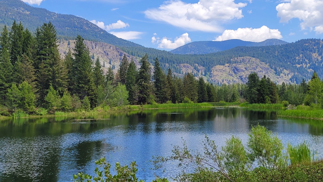 Photo of Outdoor in Mazama