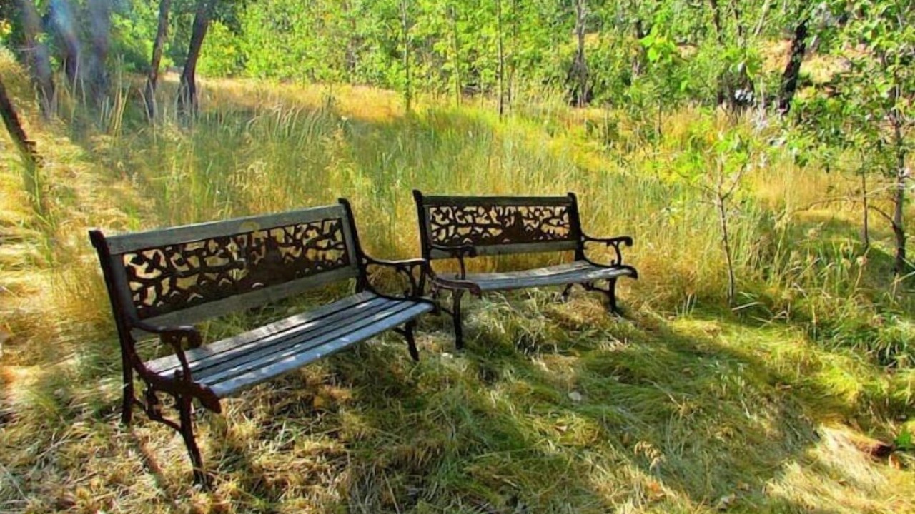 Photo of Outdoor in Markleeville