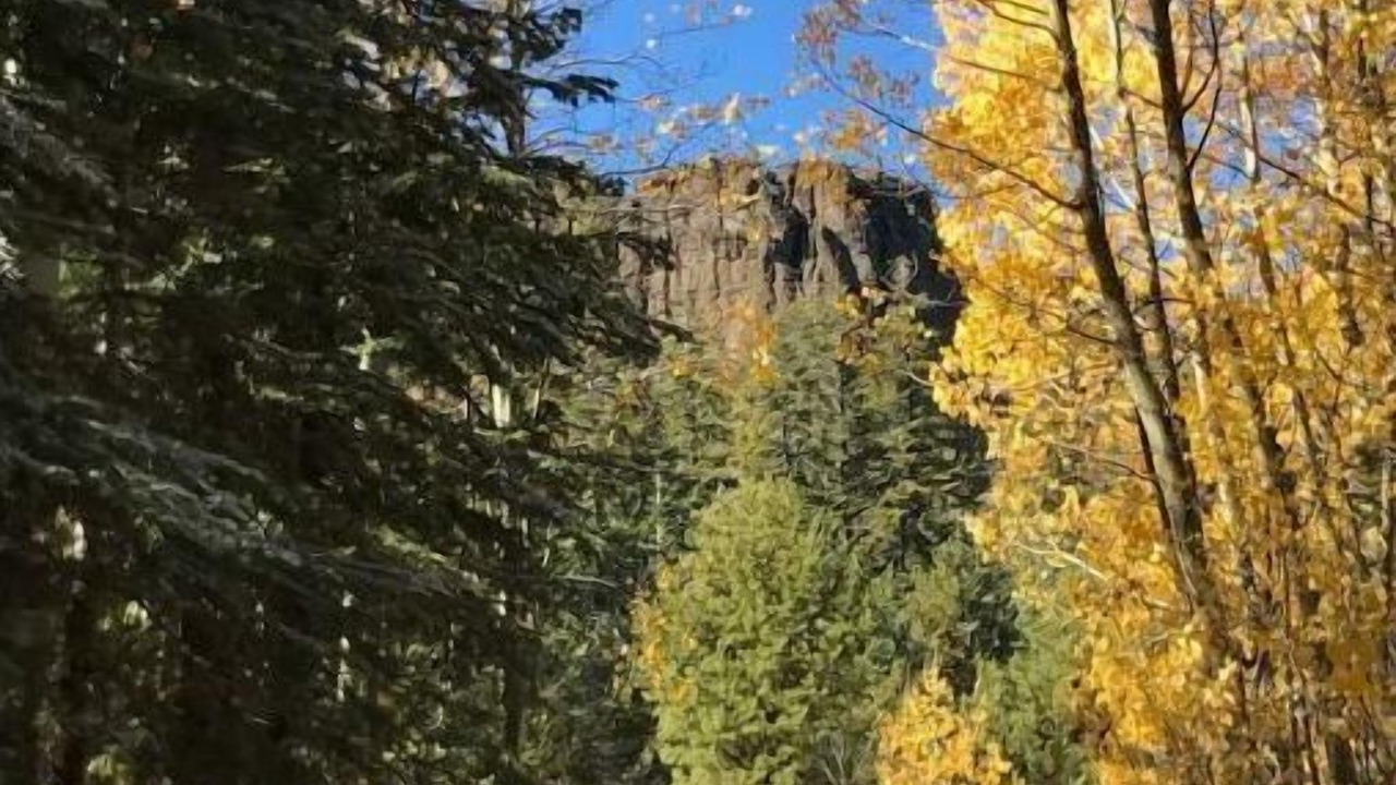 Photo of Outdoor in Markleeville
