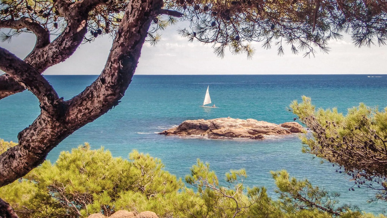 Photo of Others in Sant Feliu de Guixols