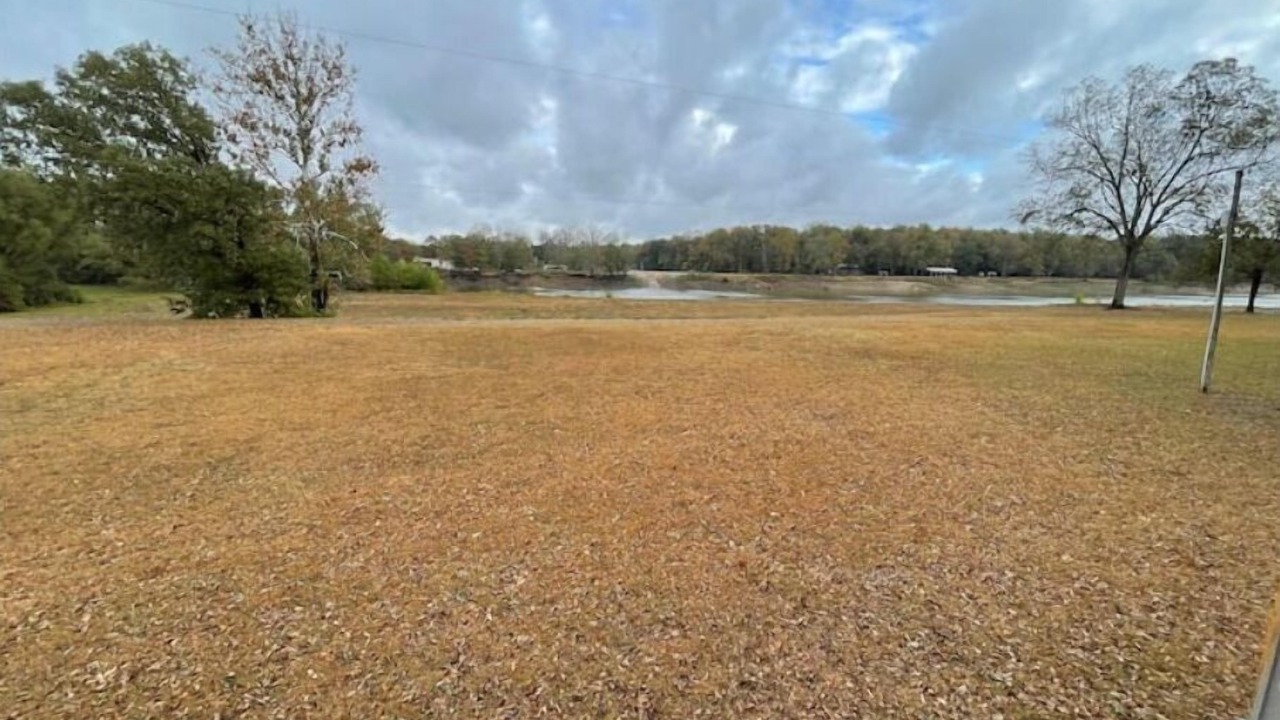 Photo of Others in De Valls Bluff