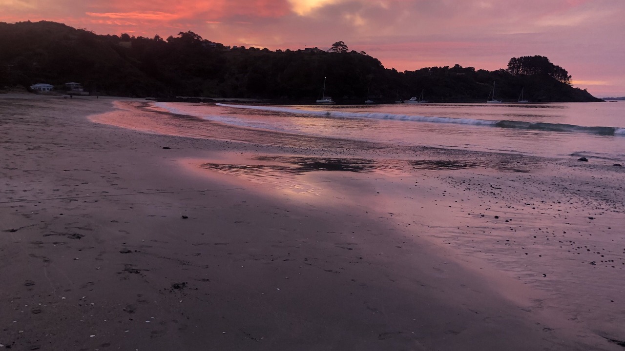 Photo of Others in Waiheke Island