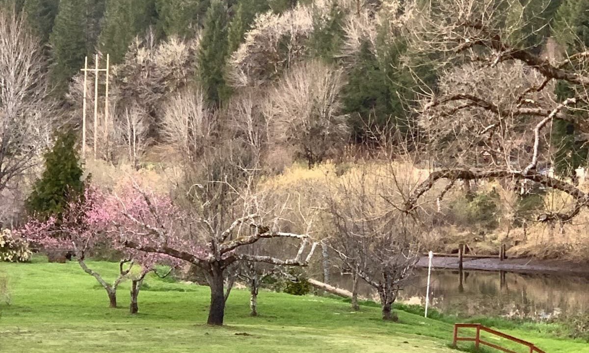 Photo of Others in Mapleton