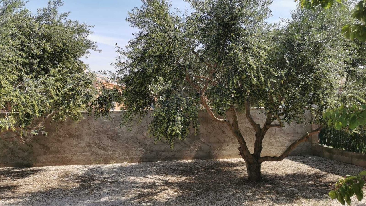 Photo of Outdoor in Abeilhan