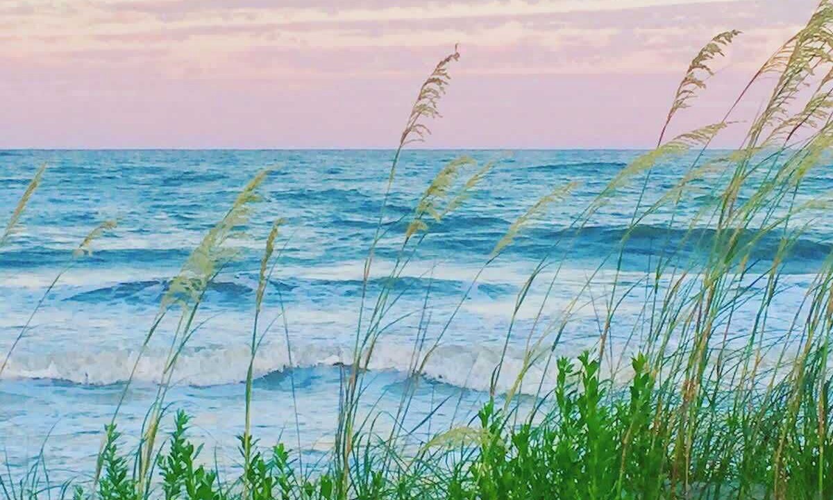 Photo of Others in Jekyll Island
