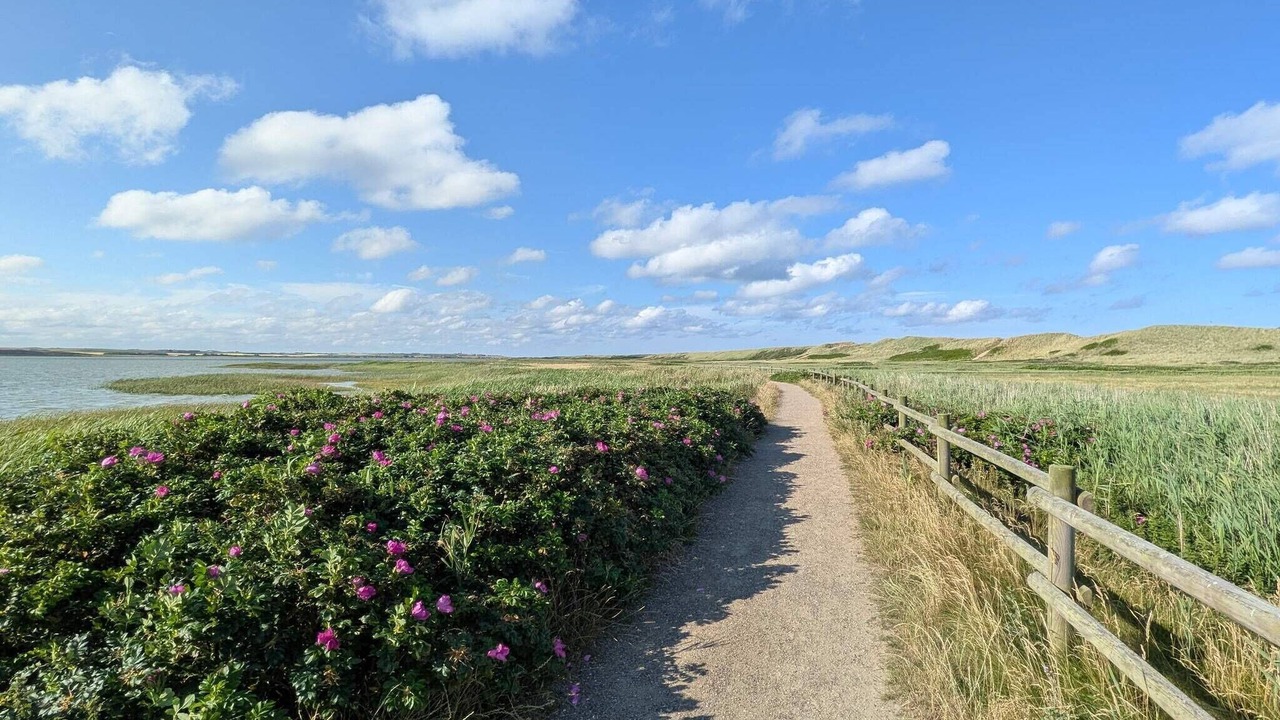 Photo of Others in Vrist Strand