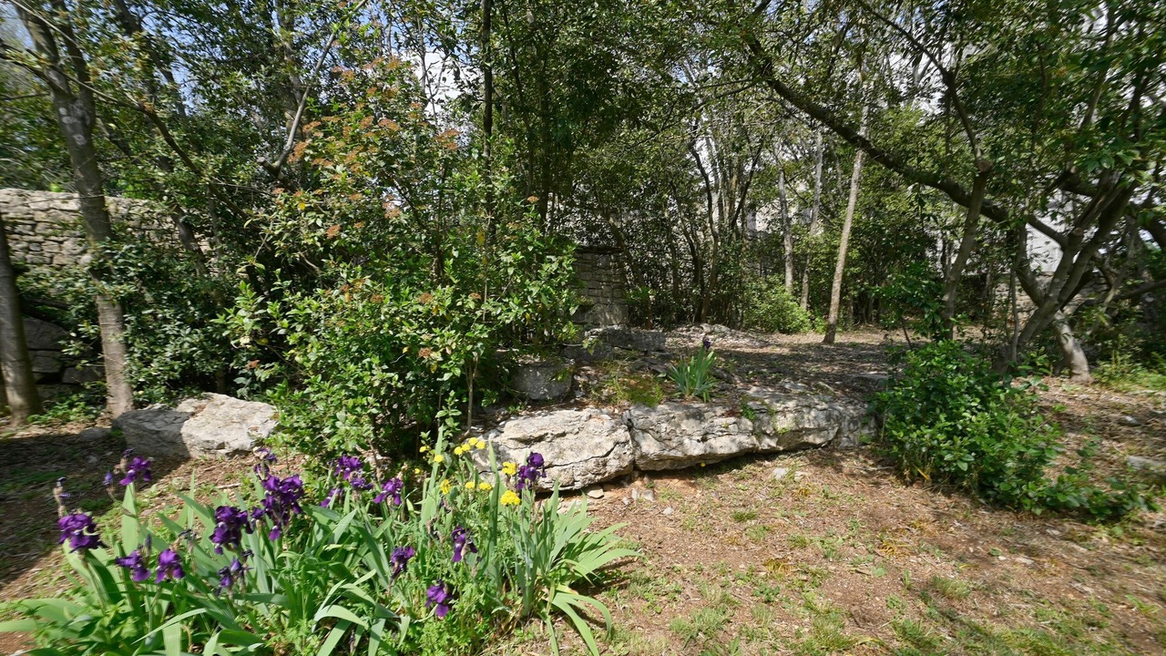 Photo of Outdoor in Chandolas