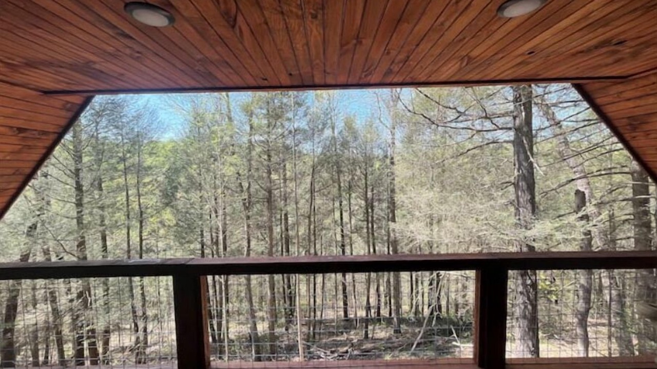 Photo of Outdoor in Rogers