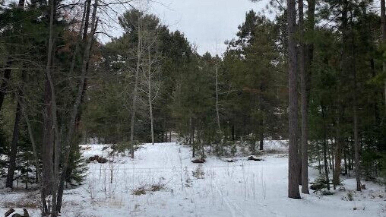 Photo of Outdoor in Upper Peninsula Michigan