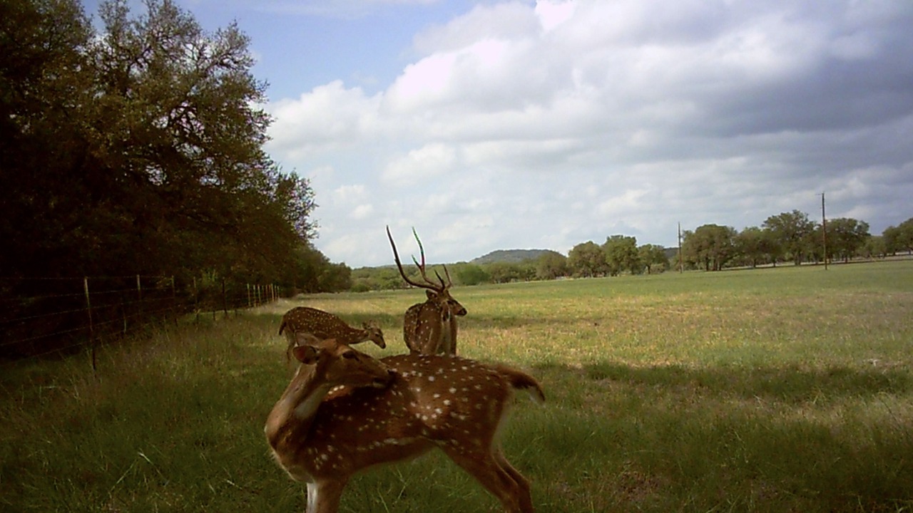 Photo of Outdoor in Kendalia