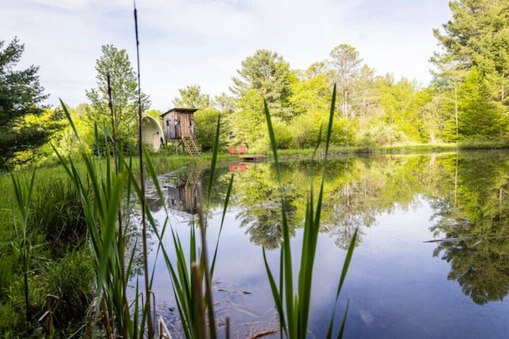 Photo of Outdoor in Black Creek