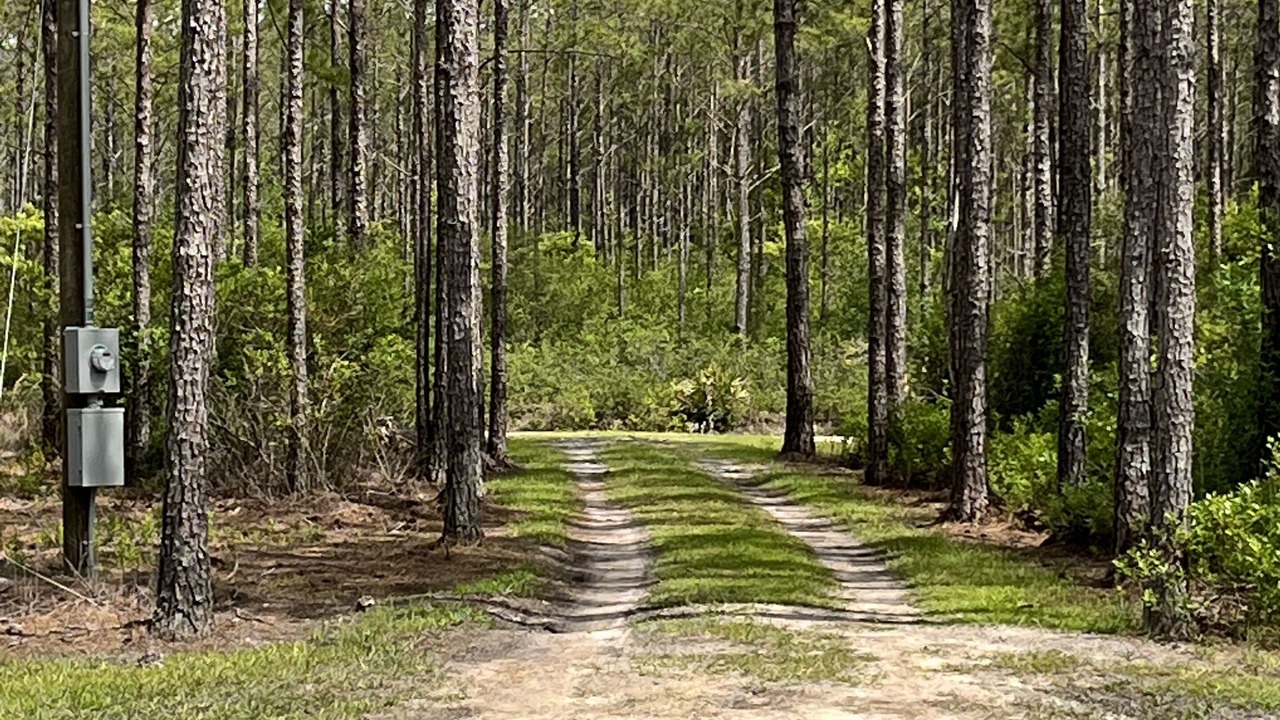 Photo of Outdoor in Waresboro