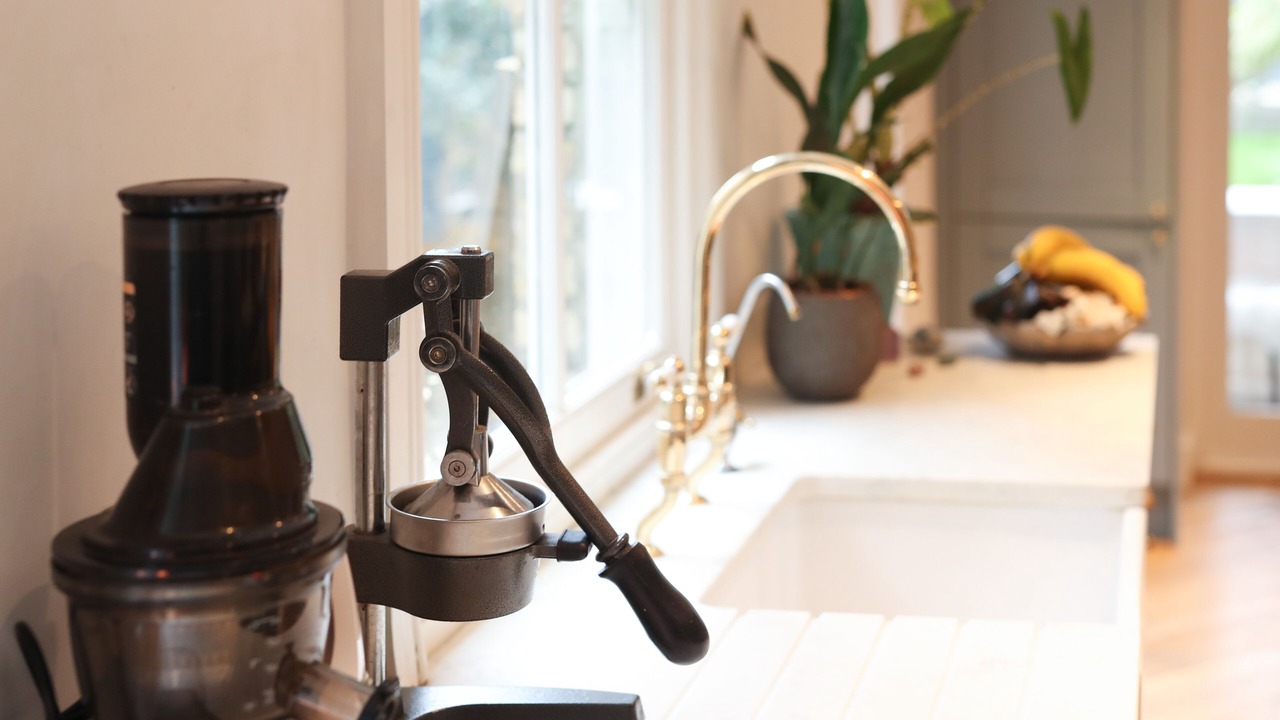 Photo of Others in King's Park