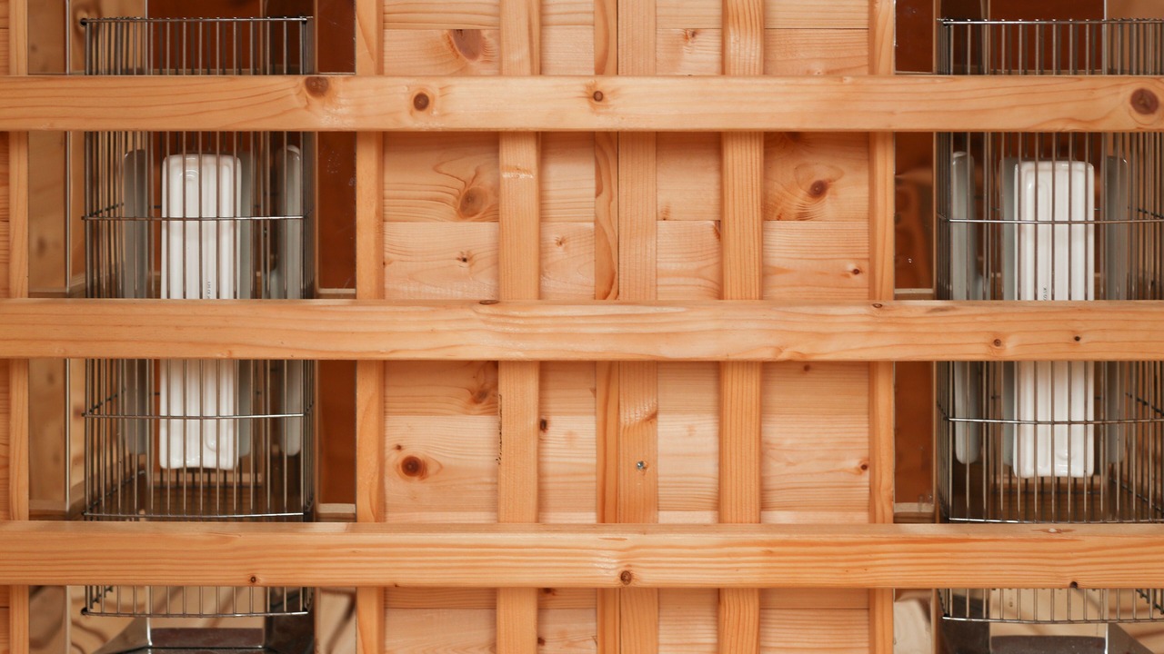 Photo of Others in King's Park