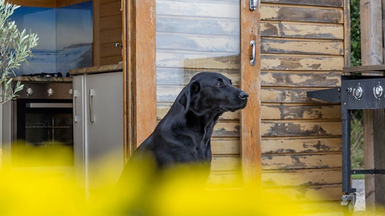 Photo of Others in Maidwell