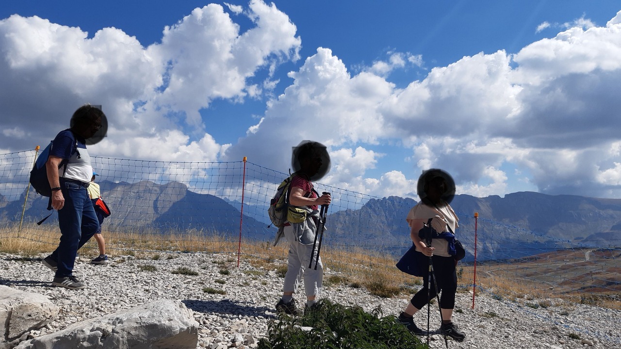 Photo of Others in La Joue du Loup