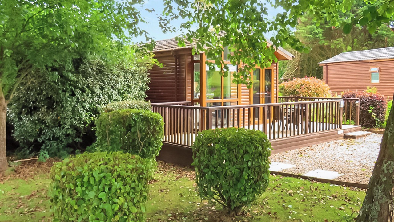 Photo of Others in Molleston