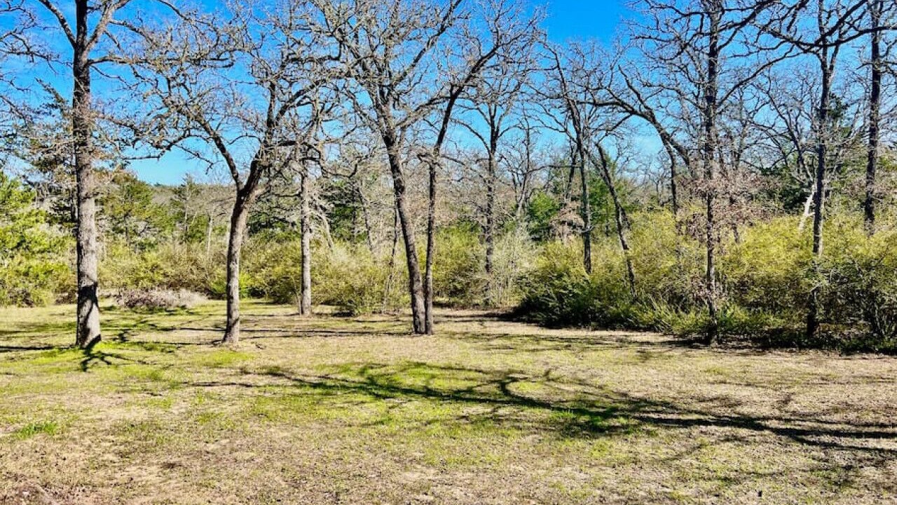Photo of Others in Canyon Creek