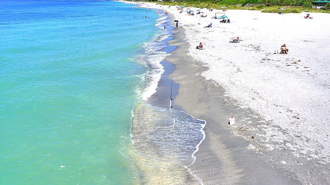 Photo of Others in Venice Gardens