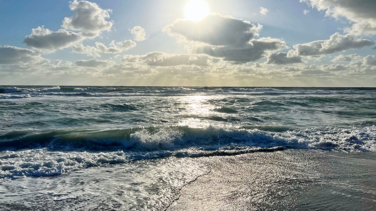 Photo of Others in Venice Gardens