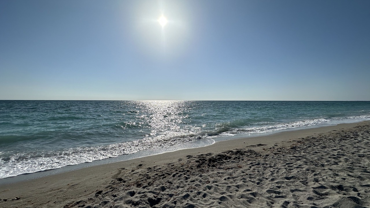 Photo of Others in Venice Gardens
