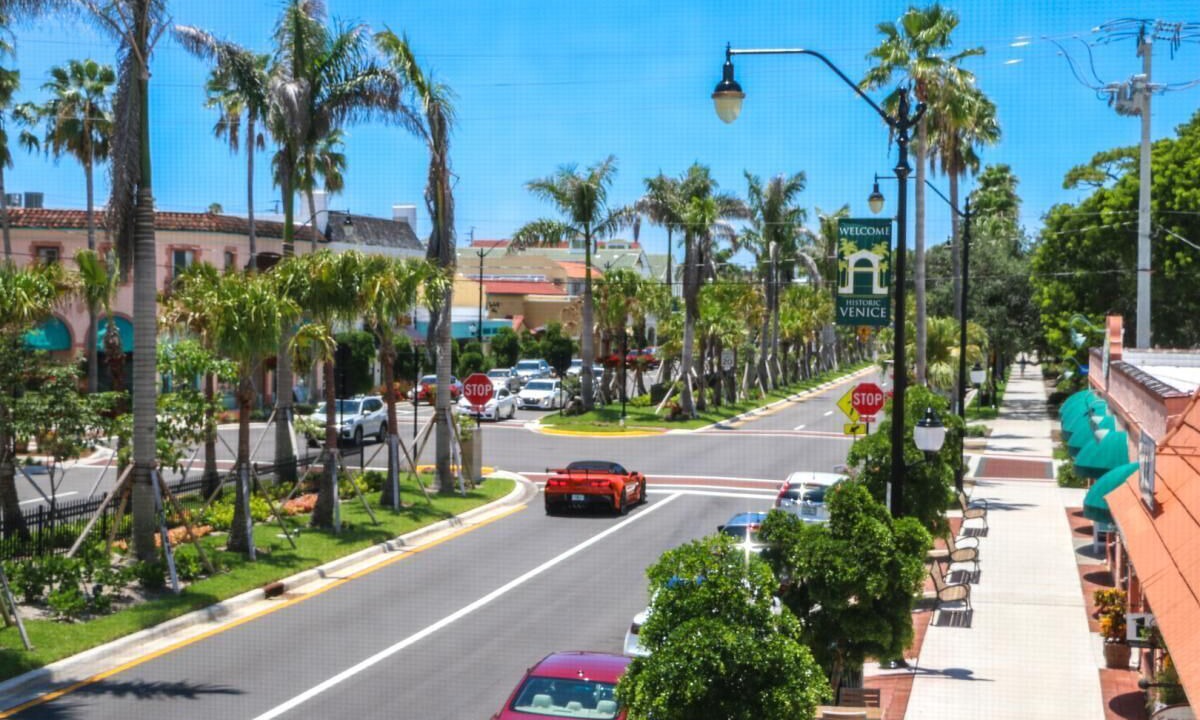 Photo of Others in Venice Gardens