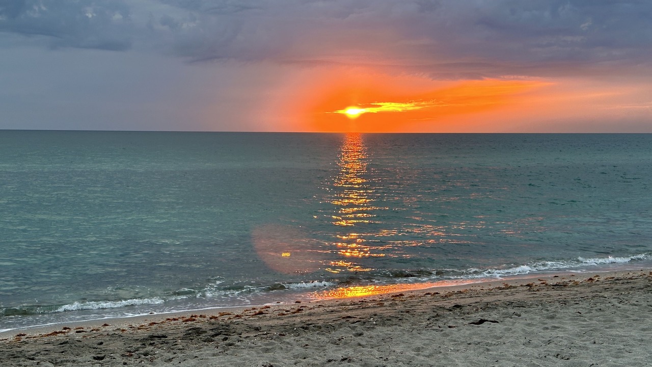 Photo of Others in Venice Gardens
