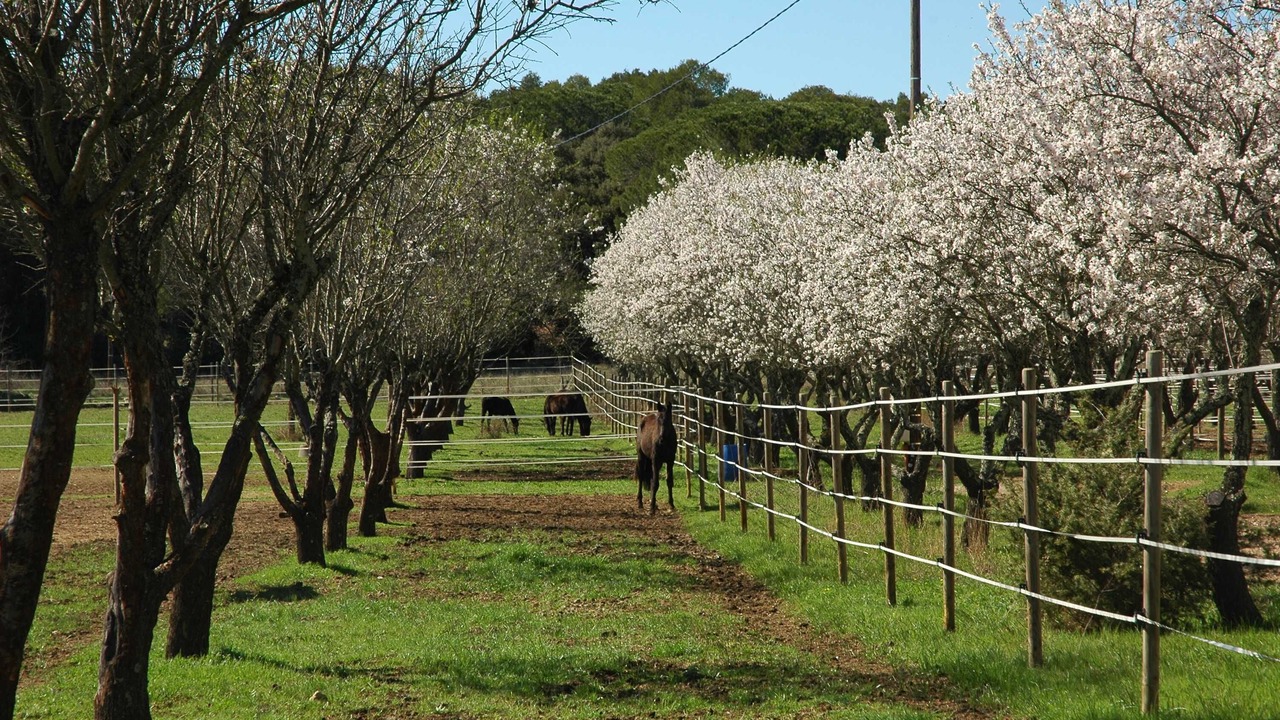 Photo of Others in Lunel-Viel