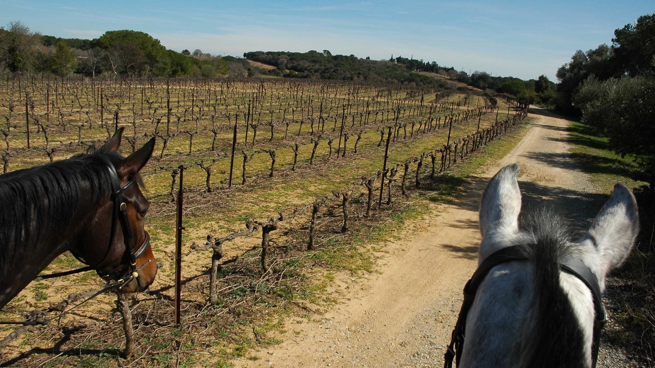 Photo of Others in Lunel-Viel