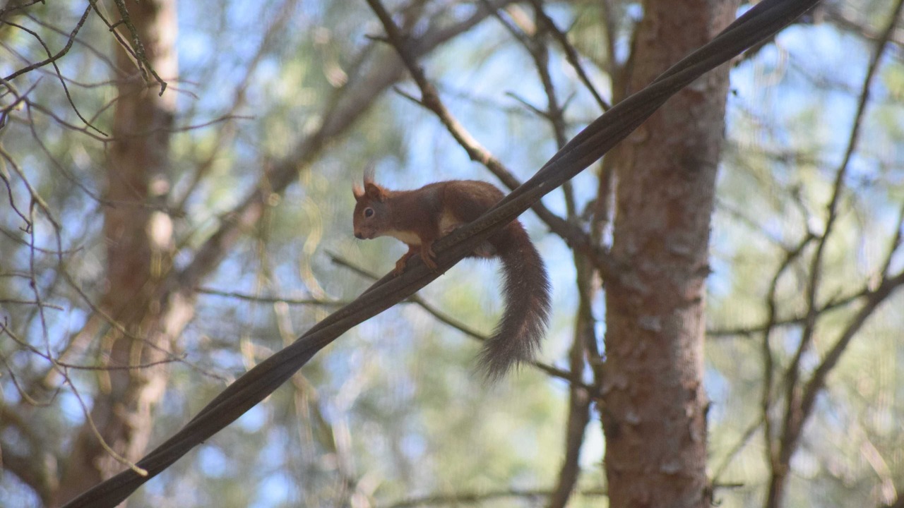 Photo of Others in Lunel-Viel