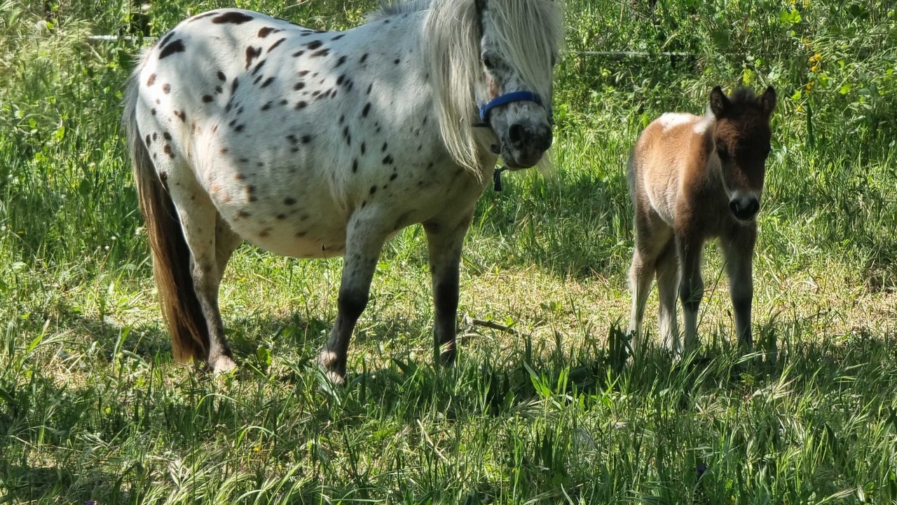 Photo of Outdoor in Lunel-Viel