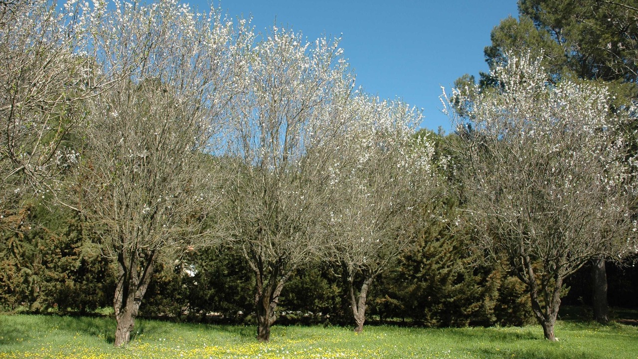 Photo of Outdoor in Lunel-Viel