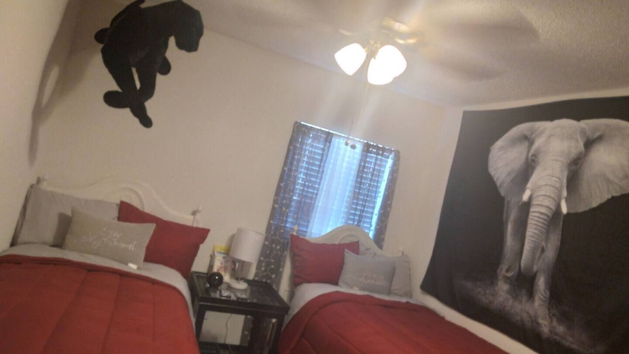Photo of Bedroom in Bearss Plaza
