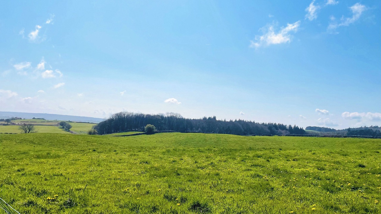 Photo of Others in Cloughton