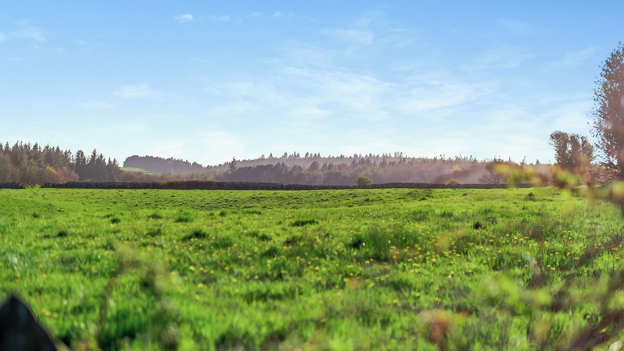 Photo of Others in Cloughton