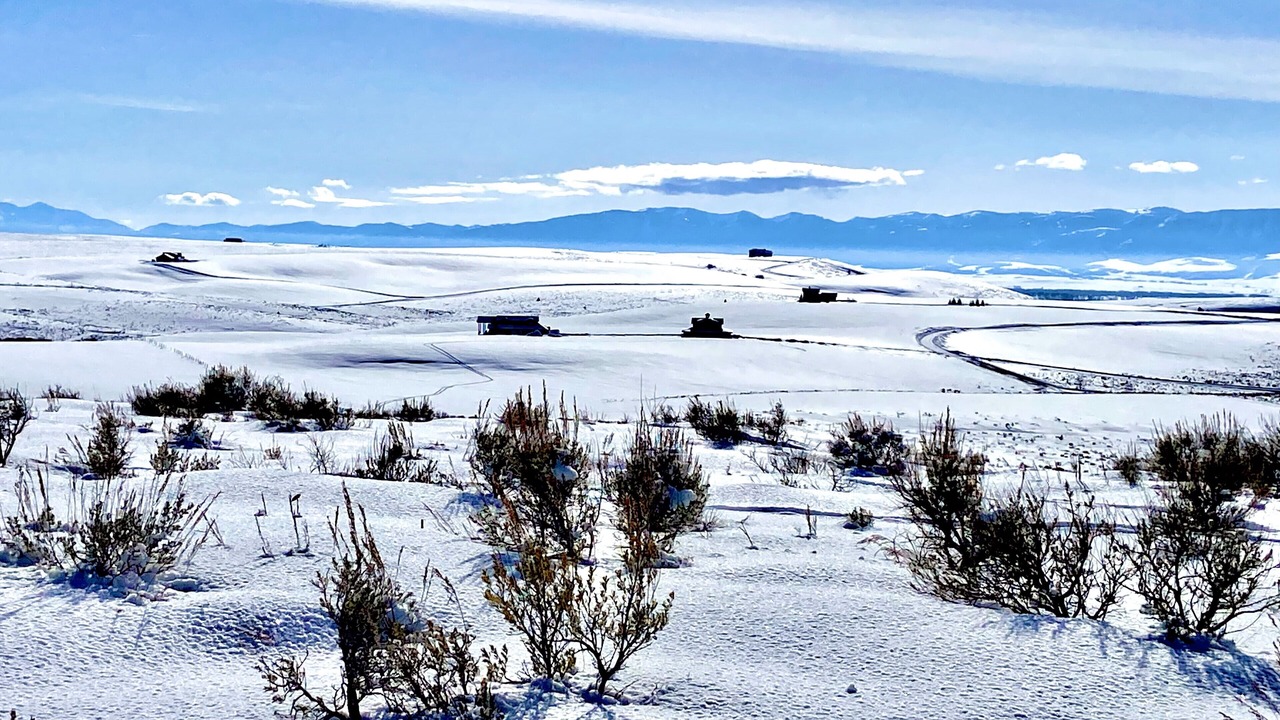 Photo of Others in Tetonia