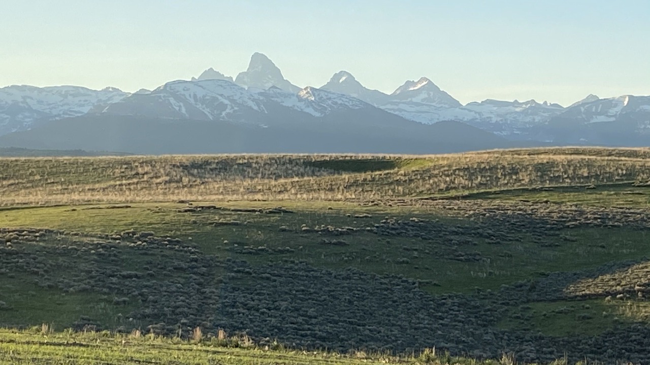 Photo of Others in Tetonia