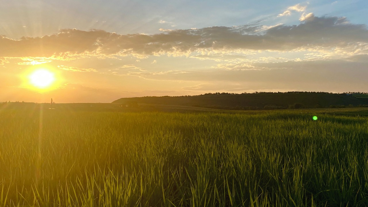 Photo of Others in Tetonia