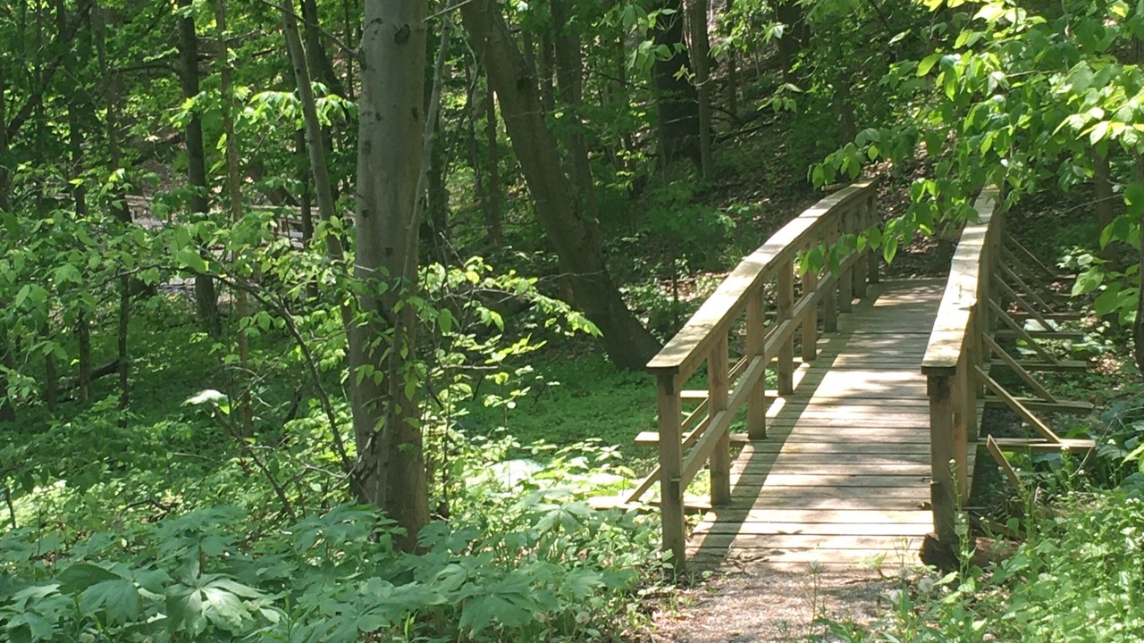 Photo of Others in Port Rowan